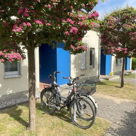 Achterwasser Mit Terrasse Daire Dewichow